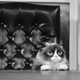 Image for article titled I Have Accepted That the #ChallengeAccepted Challenge Is the Ultimate Empty Challenge
